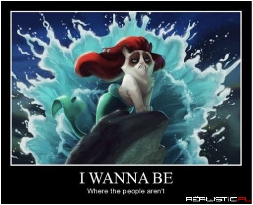 The Grumpiest Mermaid