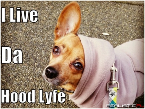 The Hood Rat Lyfe Choose Me