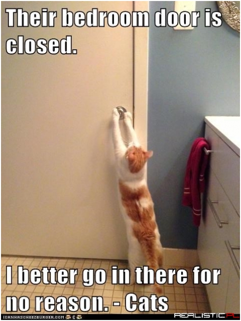 They Probabbly Miss Me Anyway