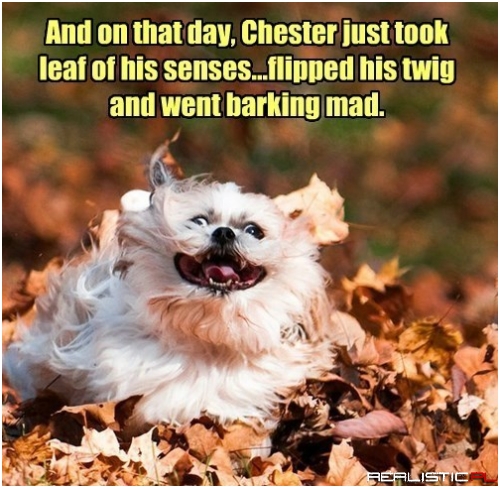 They Say it Runs in His Family Tree