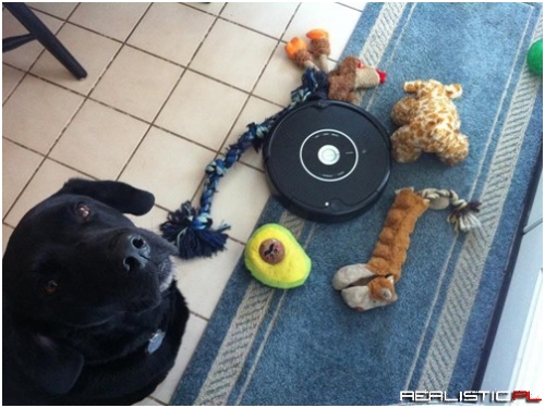 Trapped the Roomba Monster Once and For All