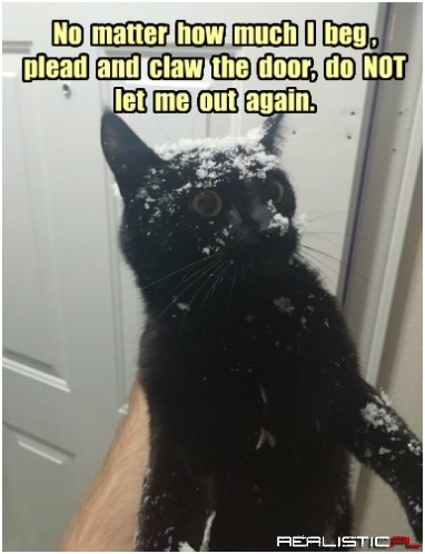 Until the Thermometer Hits 70 or The Groundhog Has Heat Stroke