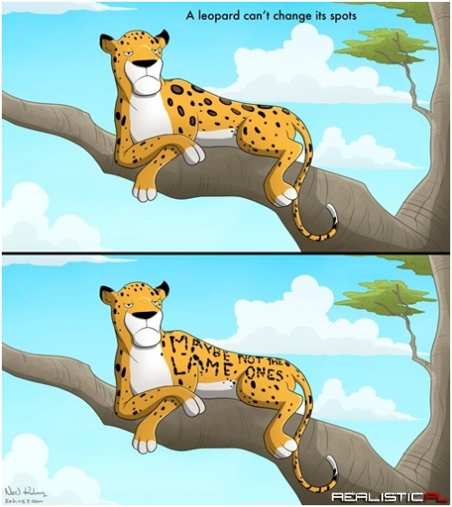 Unusual Facts About Leopards