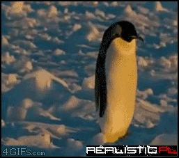 Useless Penguins Can't Even Learn Fly