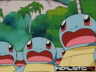 Wartortle Likes What He Sees