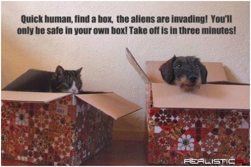 We Need Your Thumbs For the New Colony