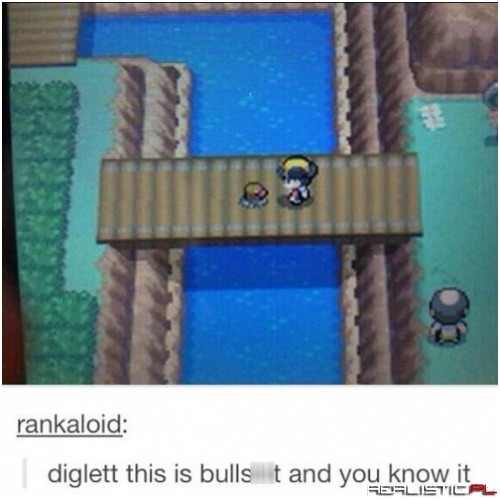 What are You, a Woodpecker