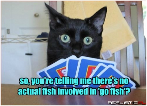 What Is Wrong With You Humans