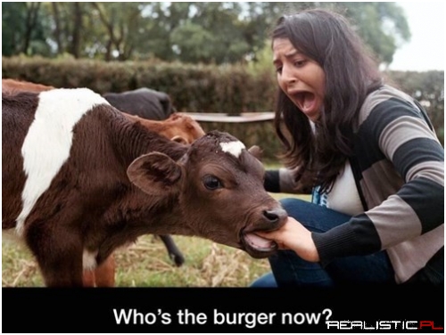 WHERE'S THE BEEF NOW, WENDY