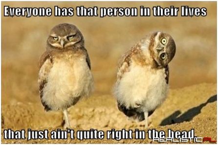 WHooooo Are You Talking About