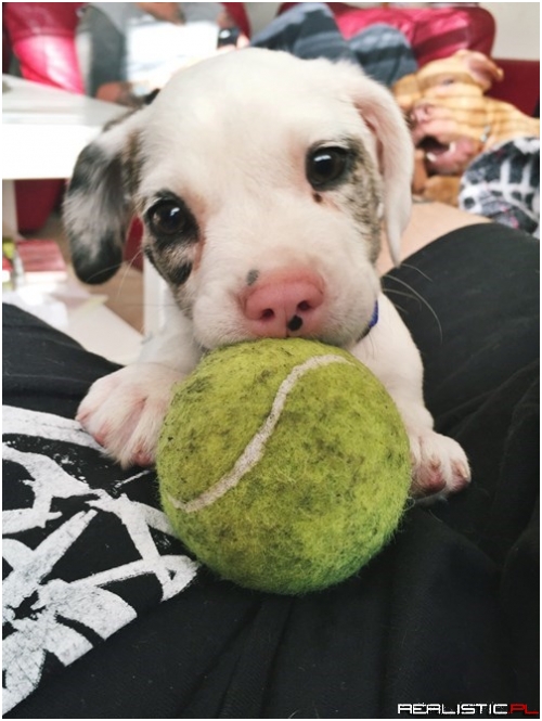 Will You Play With Me