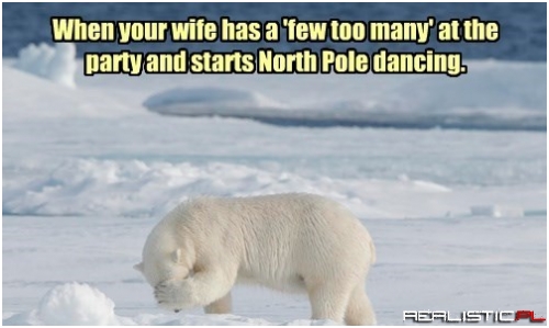Winners of our International Polar Bear Day Caption Contest!