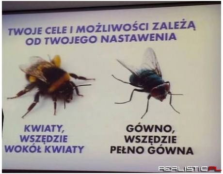 Wszystko zależy od nastawienia