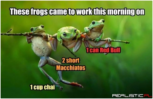 You CAN Tell the Difference