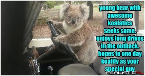 You Shoud Have No Koalms About Dating This Dude