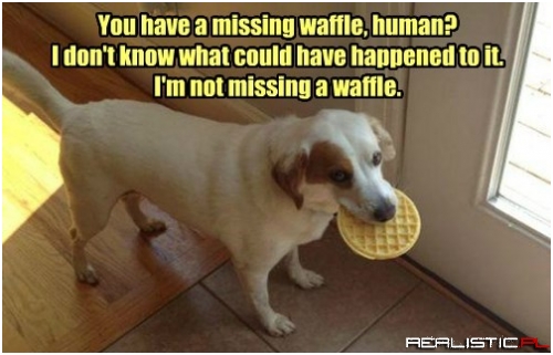 You Should Keep it in Your Mouth