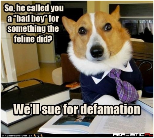 You're actually a good boy