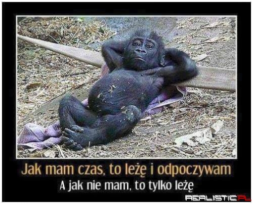 Filozofia godna naśladowania ;)