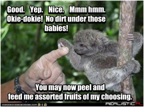 Hope You Brought Lots!