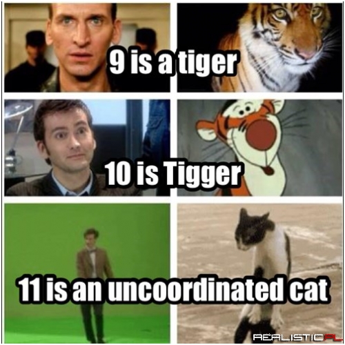 If the Doctor Was a Cat