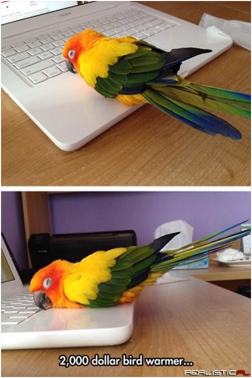 It Connects to the Internet or Something Too...