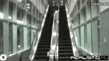 It's a GIF, but You Can Still Hear the Thud