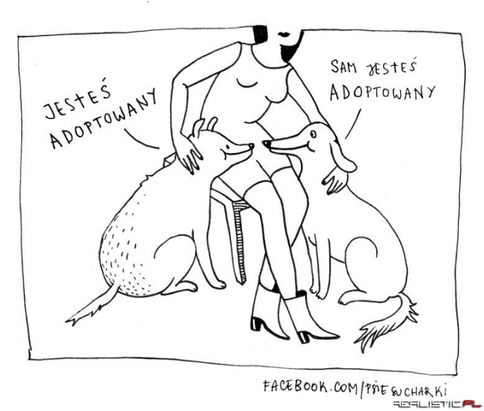 Jesteś adoptowany