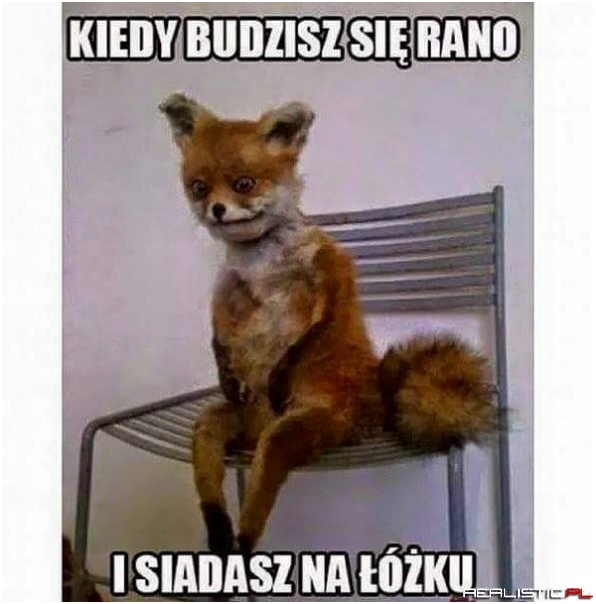 Kiedy budzisz się rano