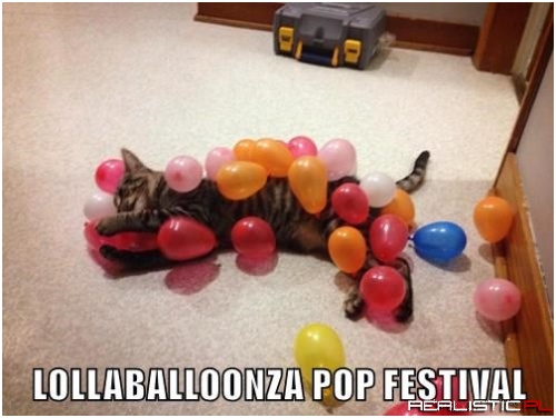 LOLLABALLOONZA POP FESTIVAL