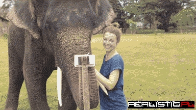 Meet Pablo Pachy-asso