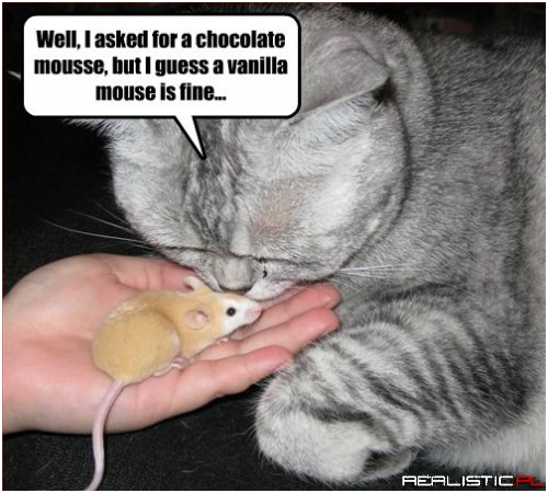 Mousse, Mouse, Whatevs