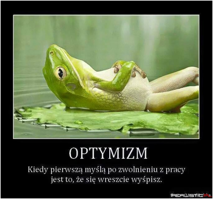 Optymizm