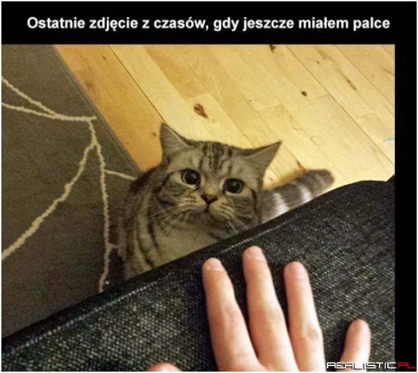Ostatnie zdjęcie