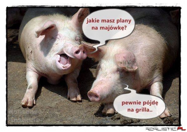 Plany na majowkę ;)