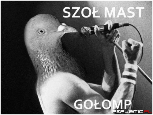 Szoł mast gołomp
