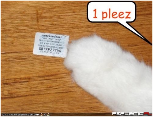 Time to Cash in all that Internet Fame