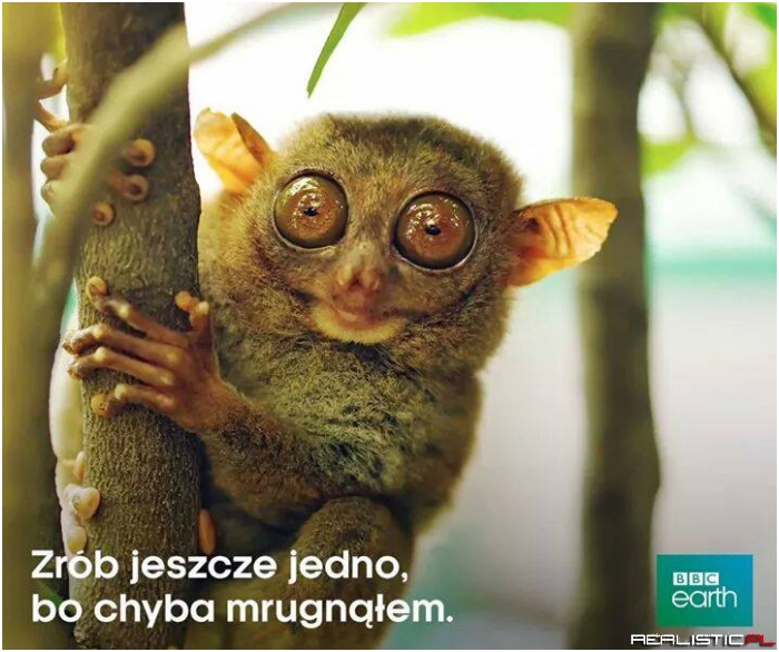 Zrób jeszcze jedno