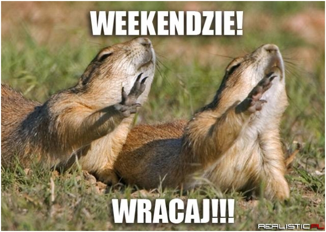 Weekendzie wracaj!