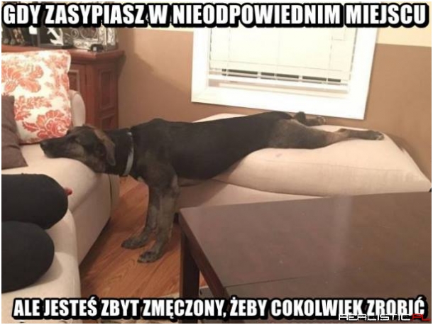Gdy zasypiasz w nieodopowiednim miejscu ;)
