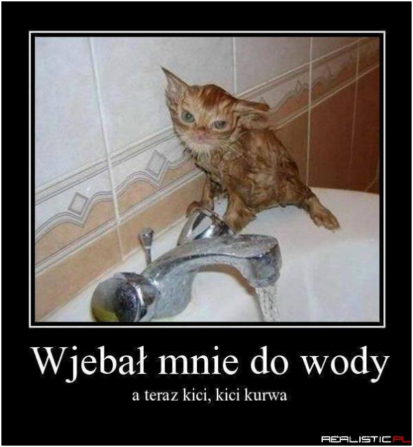 Wygląda jak gremlin ;)