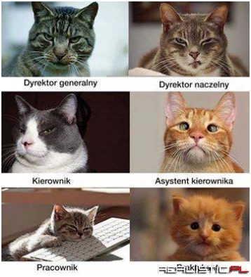 Brakuje tylko Ojca Dyrektora ;)
