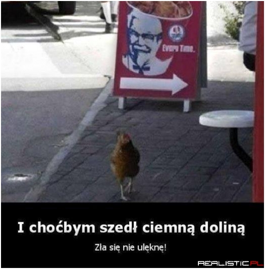 Zła sie nie ulęknę!
