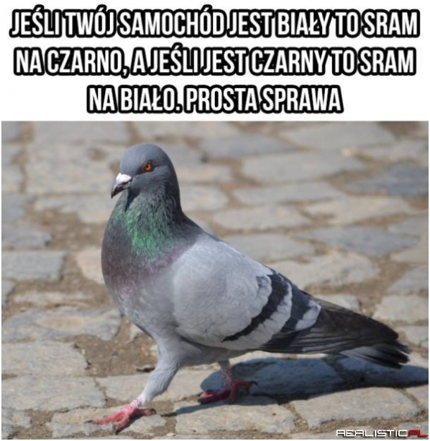 Prosta sprawa