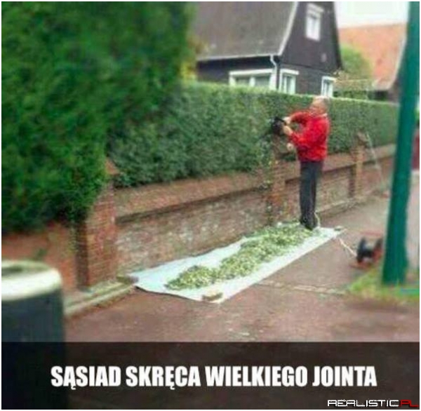 Dobry sąsiad :D