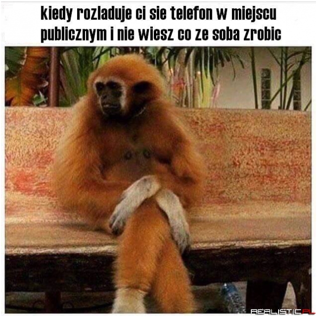 Rozładowany telefon