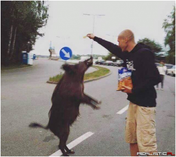 Takie akcje tylko w Polsce :D