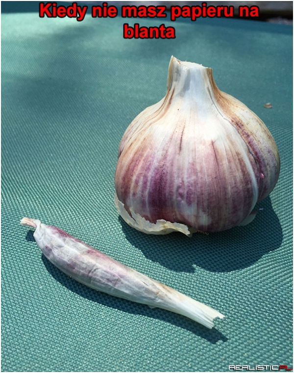 Trzeba sobie radzić