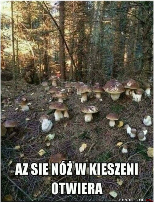 Aż się nóż w kieszeni otwiera ;)