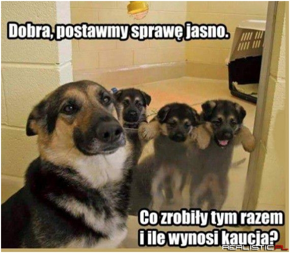 Ile wynosi kaucja ;)