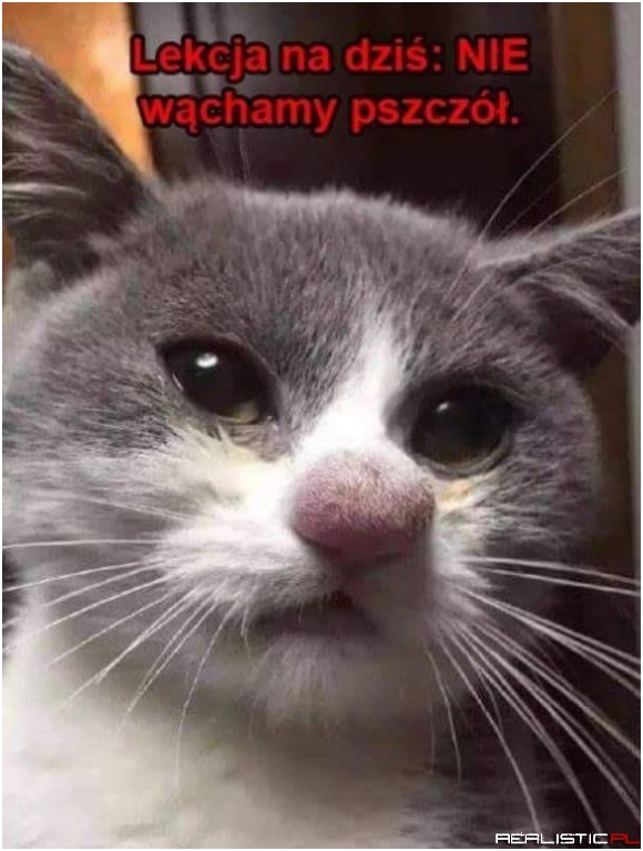Lekcja na dziś